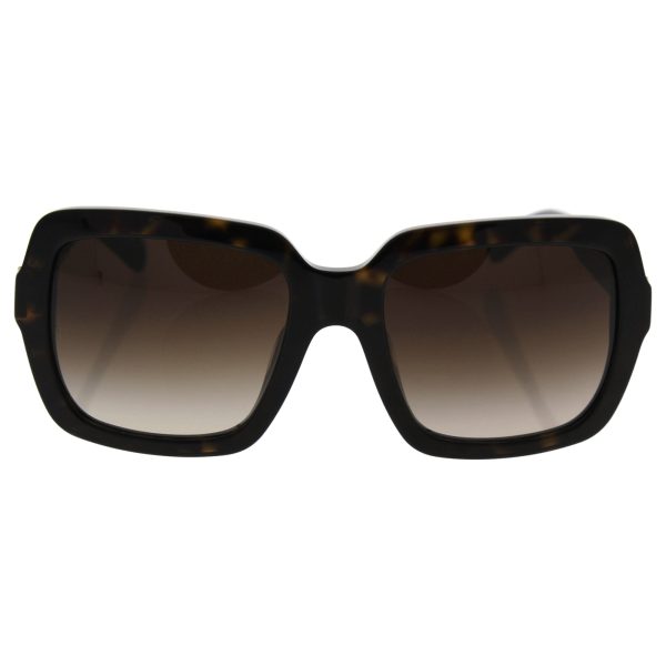 D&G Dolce & Gabbana Women s 0DG4273 Square Sunglasses, Havana Brown Gradient, 55 mm Online Sale