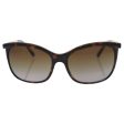 Giorgio Armani AR8069 5026T5 Polarized Gradient Brown Full Rim Sunglasses Frames in Havana Online