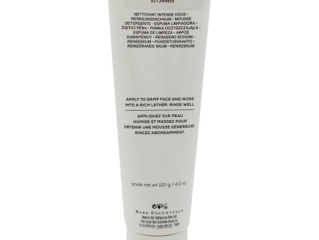 Pure Plush Gentle Deep Cleansing Foam by bareMinerals for Unisex - 4.2 oz Cleanser (Tester) Online Hot Sale