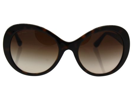 Bvlgari Bv8159bq 977 13 - Dark Havana brown Gradient Sunglasses For Women  55-20-135 mm Online Hot Sale