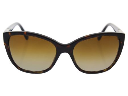 Dolce & Gabbana Dg 4195 502 t5 - Havana brown Gradient Polarized Sunglasses For Women  56-17-140 mm Online now