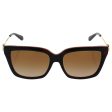 Michael Kors Abela I Square Sunglasses Tortise Orange Online