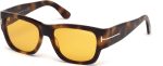 Tom Ford Sunglasses - FT0493 Stephen 52E - Dark Havana Brown (54 17 140) Online now