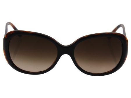 Giorgio Armani Ar 8047 5049 13 - Top Black Havana brown Gradient By Giorgio Armani For Women - 56-16-140 Mm Sunglasses Online