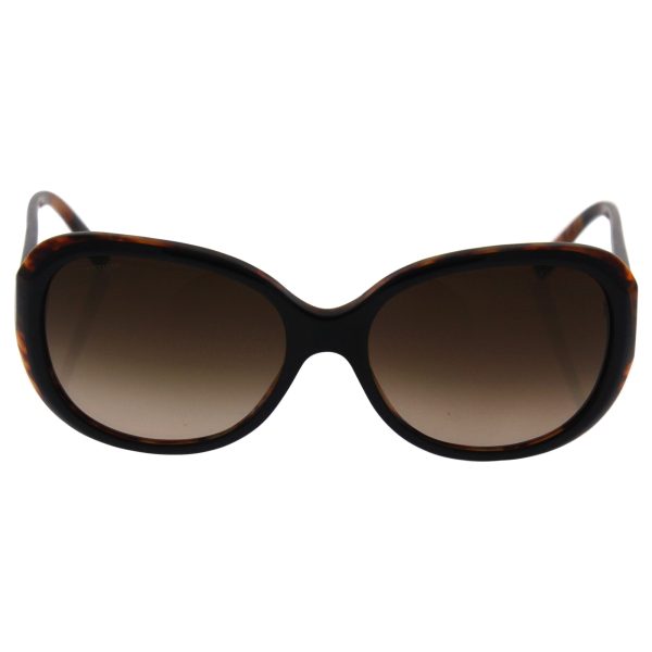 Giorgio Armani Ar 8047 5049 13 - Top Black Havana brown Gradient By Giorgio Armani For Women - 56-16-140 Mm Sunglasses Online