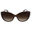 Bvlgari Bv8157 Bq 1111 13 - Turtledove Brown brown Sunglasses For Women  57-15-135 mm Hot on Sale