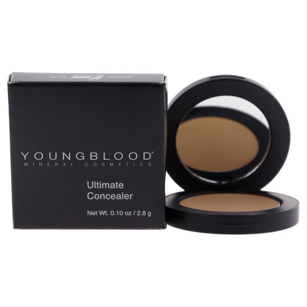 Ultimate Concealer - Medium Warm by Youngblood for Women - 0.1 oz Concealer Discount