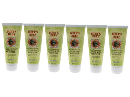 Aloe & Coconut Oil After Sun Soother by Burts Bees for Unisex - 6 oz Oil - Pack of 6 Supply