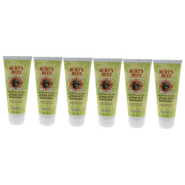 Aloe & Coconut Oil After Sun Soother by Burts Bees for Unisex - 6 oz Oil - Pack of 6 Supply